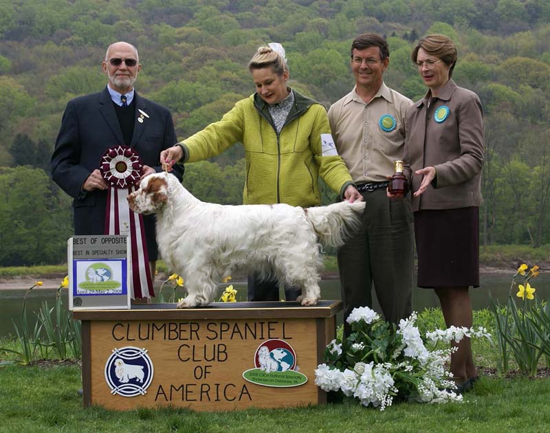 BOS_Shoguns_Funky_Diva_b