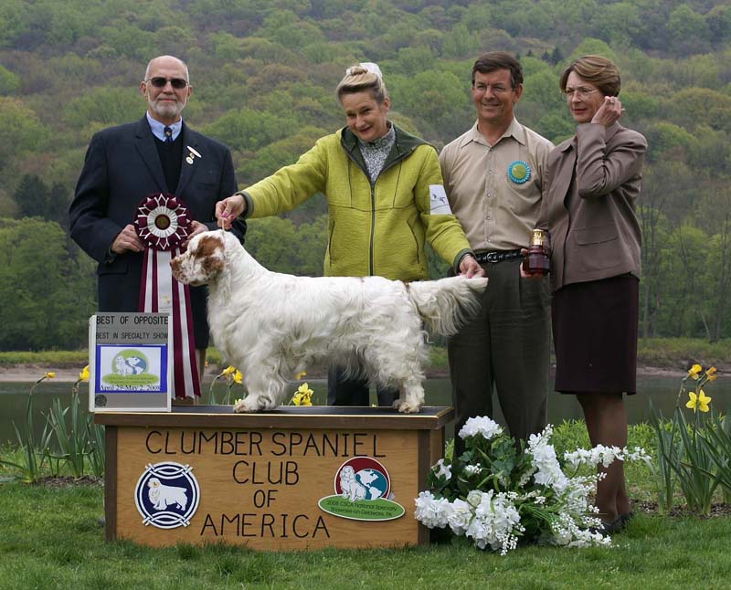 BOS_Shoguns_Funky_Diva_c