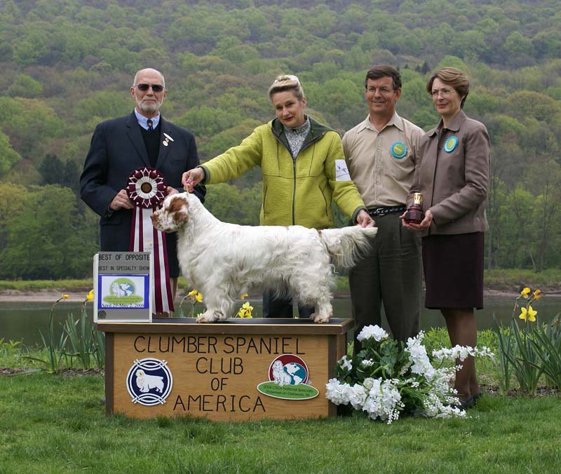 BOS_Shoguns_Funky_Diva_e