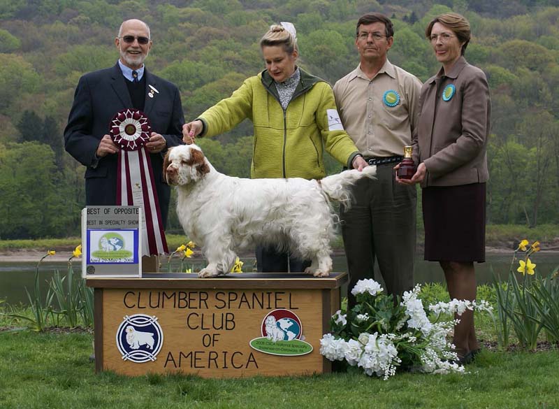 BOS_Shoguns_Funky_Diva_g