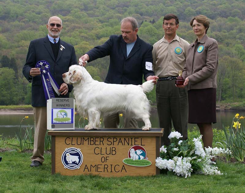 B_ReserveWinnerDog_Nexus_Dark_Horse