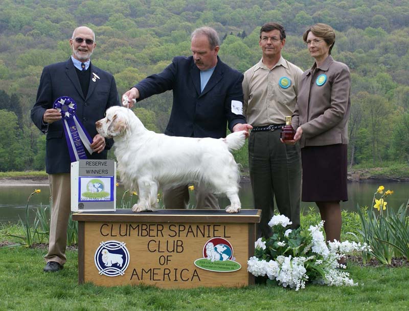 B_ReserveWinnerDog_Nexus_Dark_Horse_c