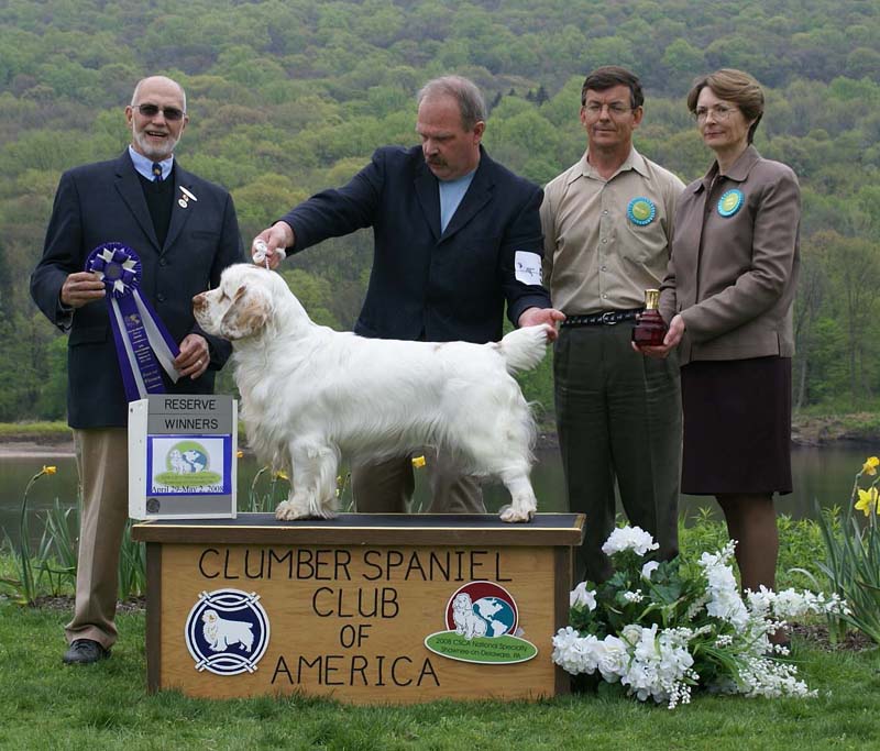 B_ReserveWinnerDog_Nexus_Dark_Horse_d