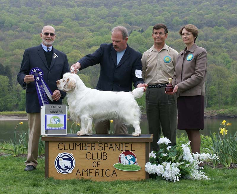 B_ReserveWinnerDog_Nexus_Dark_Horse_e