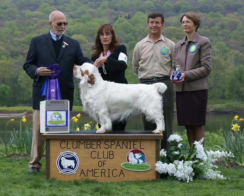 B_WinnerDog_Shoguns_Little_Dividend