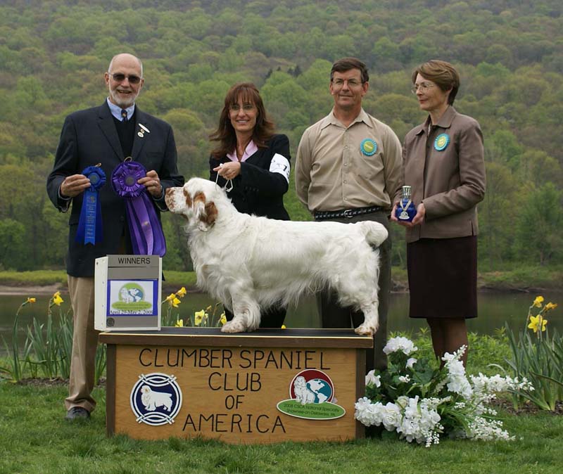 B_WinnerDog_Shoguns_Little_Dividend_b