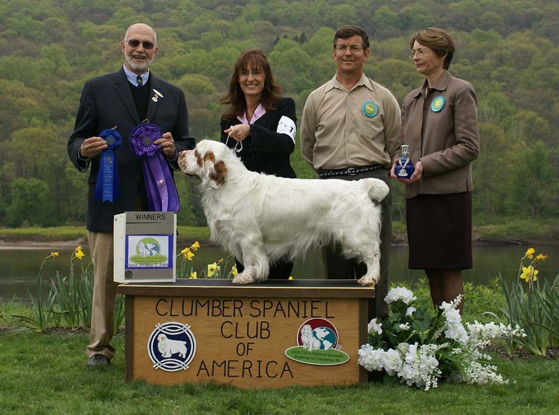 B_WinnerDog_Shoguns_Little_Dividend_d