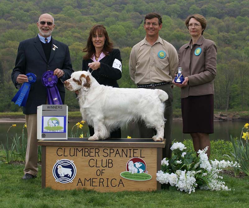 B_WinnerDog_Shoguns_Little_Dividend_g