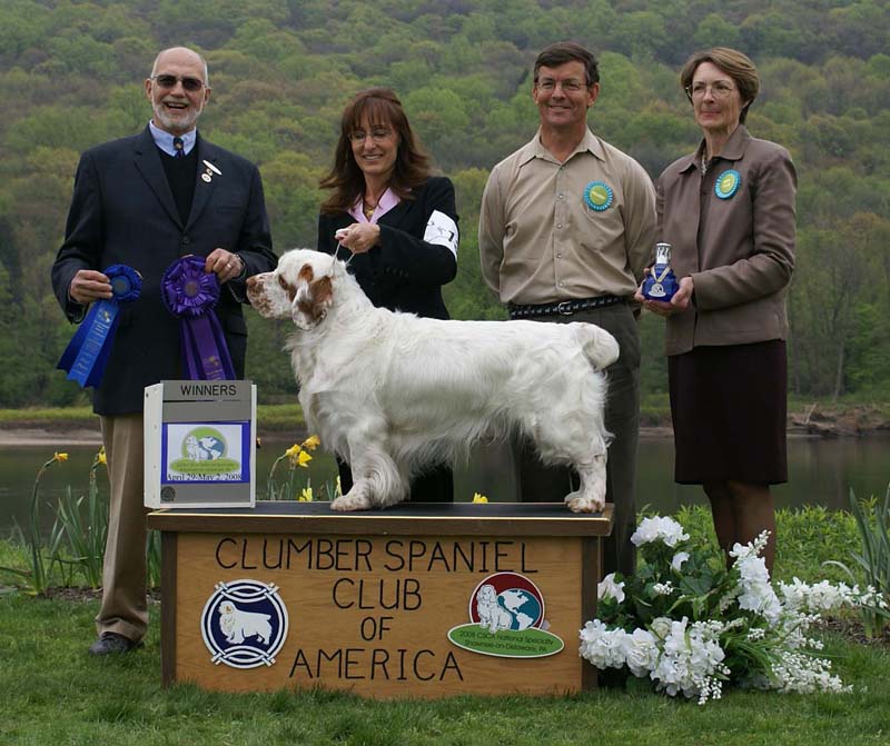 B_WinnerDog_Shoguns_Little_Dividend_h