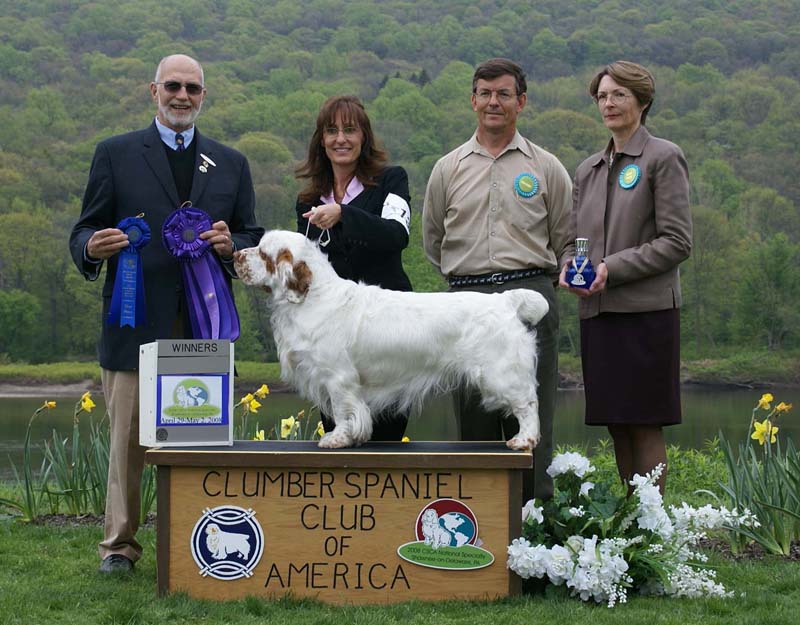 B_WinnerDog_Shoguns_Little_Dividend_i