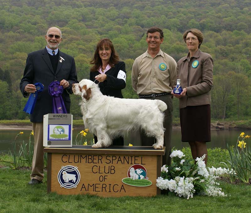 B_WinnerDog_Shoguns_Little_Dividend_k