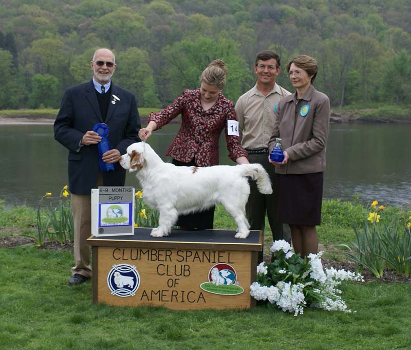 Best6-9months_bitch_puppy_COMPANIONWAY_N_CAMEOS_BUFFALO_GIRL_AT_CRESWCIK