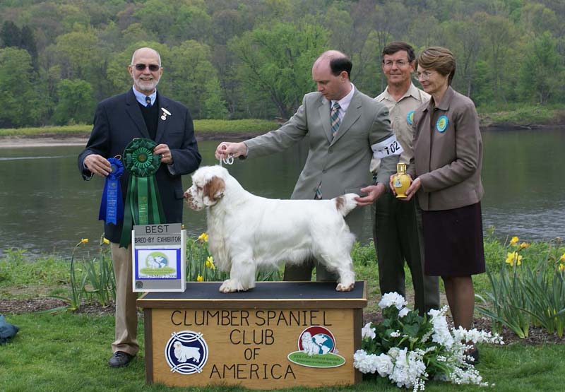 BestBredbyExhibitor_Clussexx_Tickling_the_Ivories_b