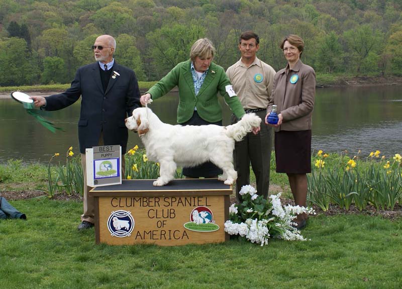 BestPuppy_Companionways_How_The_West_Was_Won