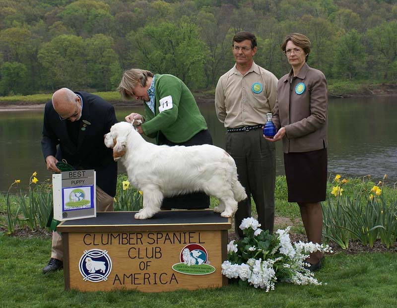 BestPuppy_Companionways_How_The_West_Was_Won_b