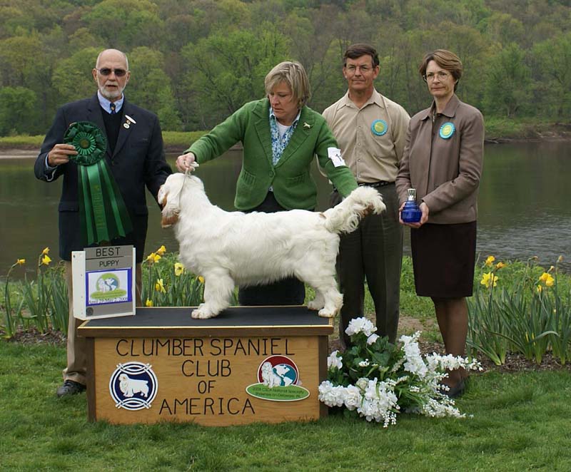 BestPuppy_Companionways_How_The_West_Was_Won_c