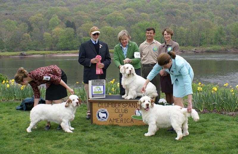 Best_Brood_Bitch_Companionway_Model-T