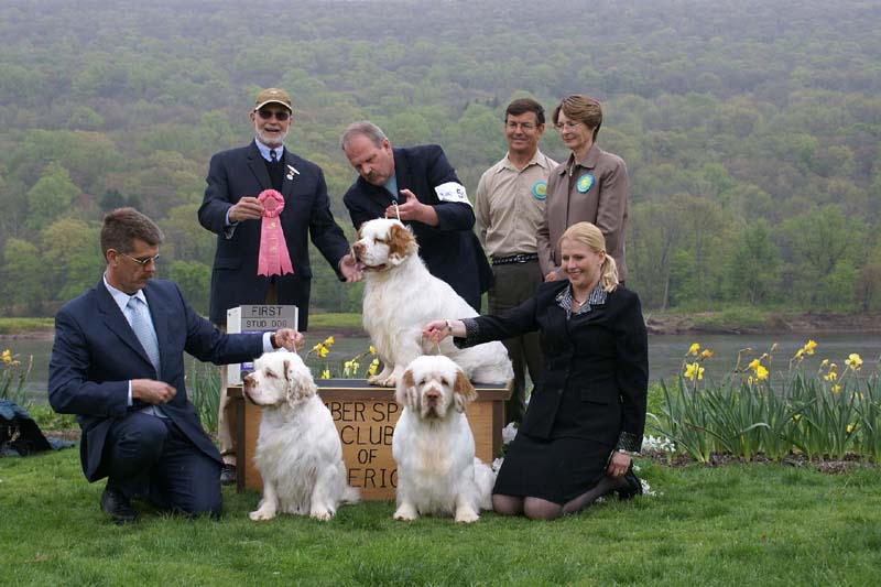 Best_Stud_Dog_Nexus_Sedced_By_The_Darkside_b