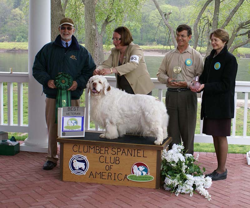 Best_Veteran_Critter_All_Heaven_Will_Allow