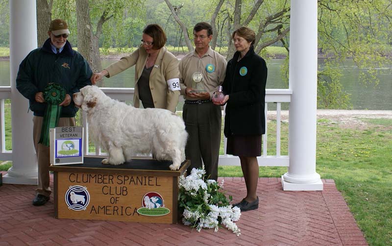 Best_Veteran_Critter_All_Heaven_Will_Allow_b