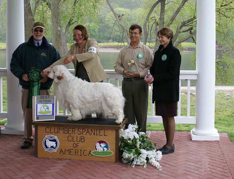 Best_Veteran_Critter_All_Heaven_Will_Allow_c