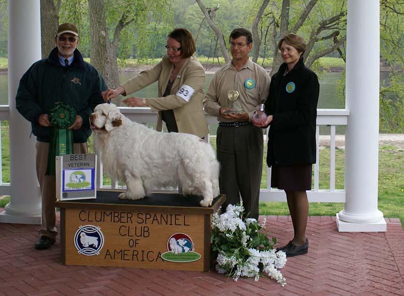 Best_Veteran_Critter_All_Heaven_Will_Allow_e