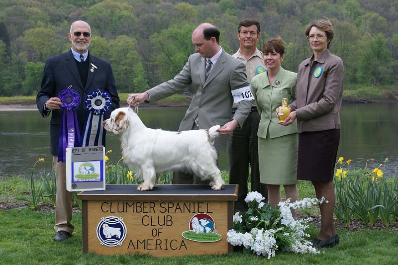 BestofWinners_Clussexx