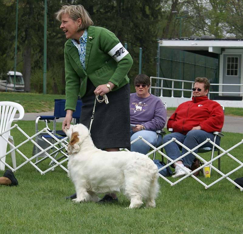 Companionways_American_Idol