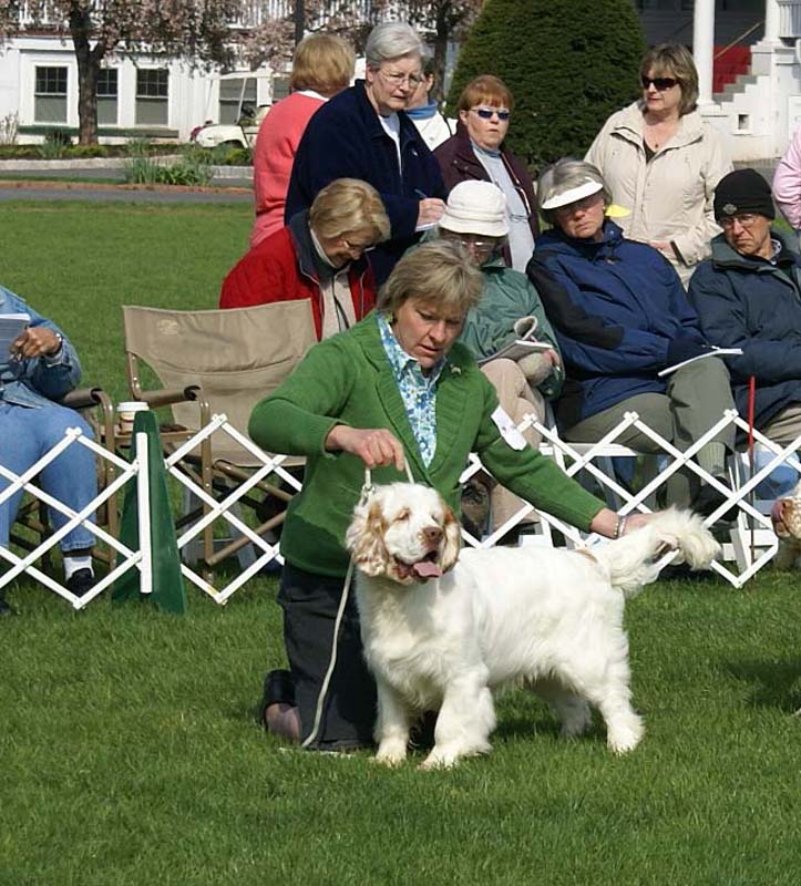 Companionways_How_The_West_Was_Won_1