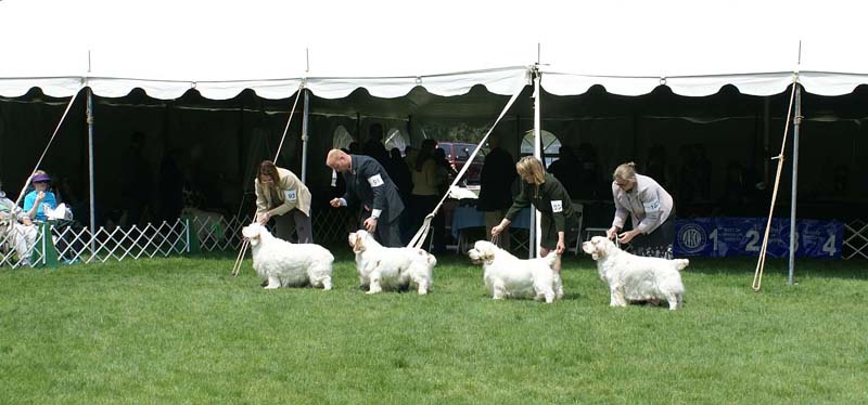 Critter_All_Heaven_Will_Allow_1st