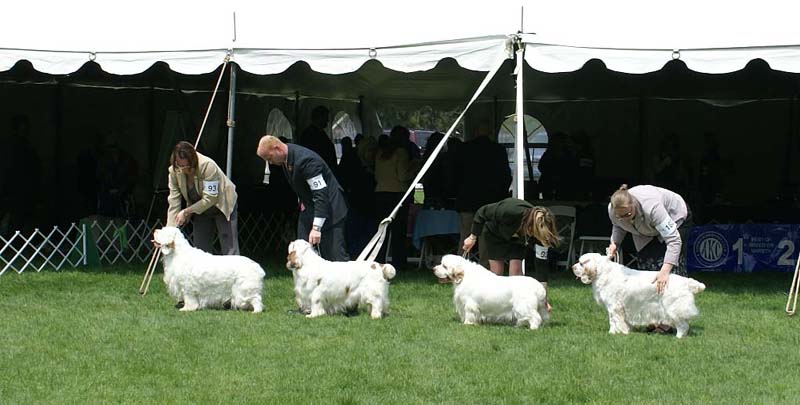 Critter_All_Heaven_Will_Allow_1st_b