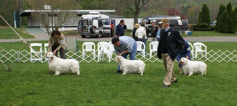 Critter_All_Heaven_Will_Allow_1st_c