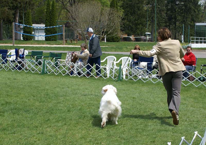 Critter_All_Heaven_Will_Allow_with_Ira_c