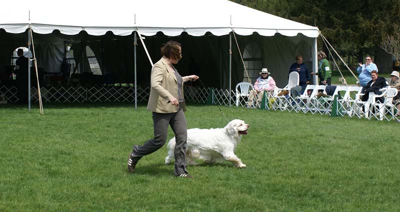 Critter_All_Heaven_Will_Allow_with_Ira_e