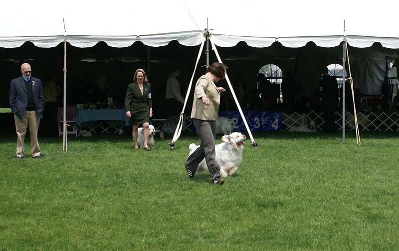 Critter_All_Heaven_Will_Allow_with_Ira_f