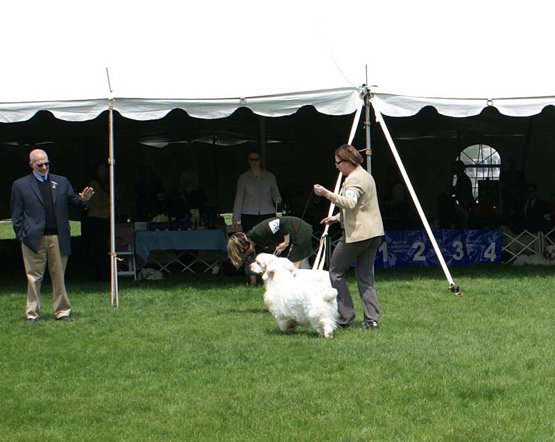 Critter_All_Heaven_Will_Allow_with_Ira_g