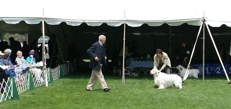 Critter_All_Heaven_Will_Allow_with_Ira_h