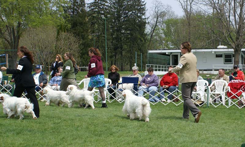 Critter_All_Heaven_Will_Allow_with_Ira_i