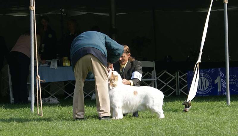 Kings_Hammer_of_the_Gods_with_John