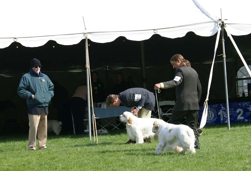 Kings_Hammer_of_the_Gods_with_John_c