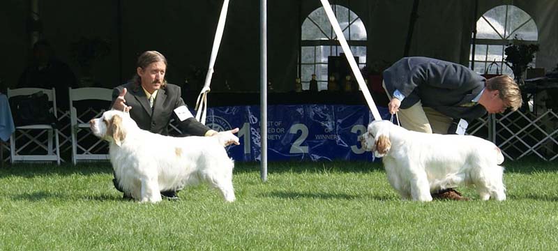 Kings_Hammer_of_the_Gods_with_John_d