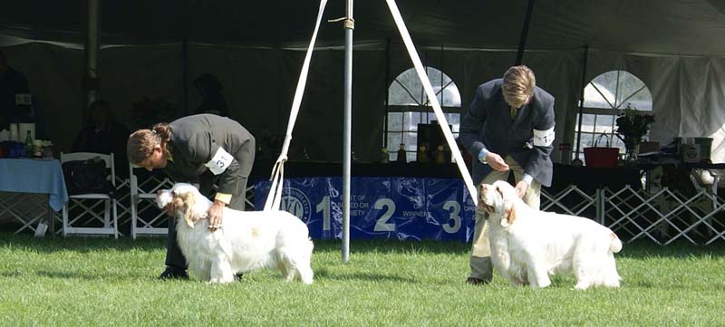 Kings_Hammer_of_the_Gods_with_John_e