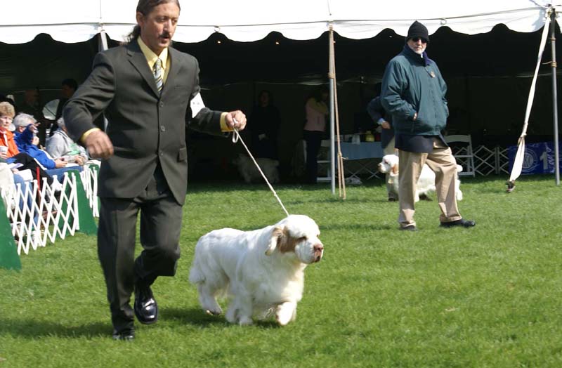 Kings_Hammer_of_the_Gods_with_John_f