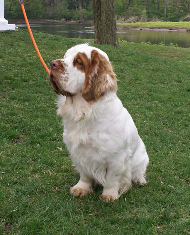 Kings_Land_of_Ice_and_Snow