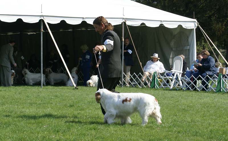 Kings_Midnight_Sun_with_John