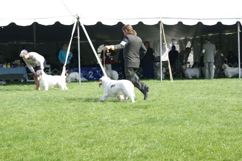 Kings_Midnight_Sun_with_John_b