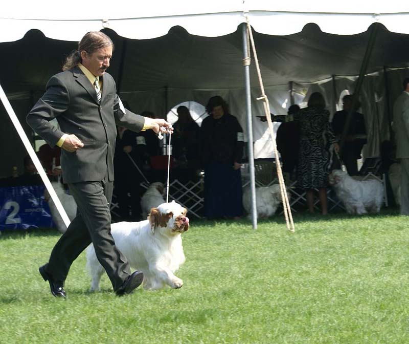 Kings_Midnight_Sun_with_John_d