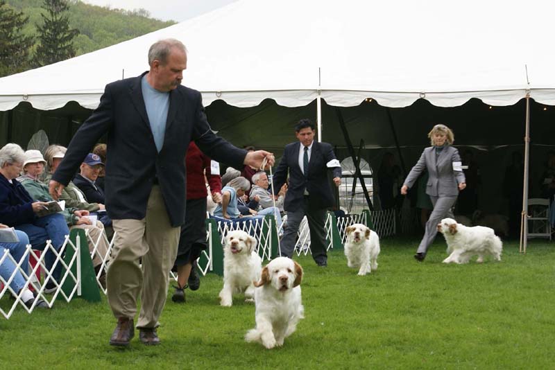 Nexus_Blind_Faith_1st_b