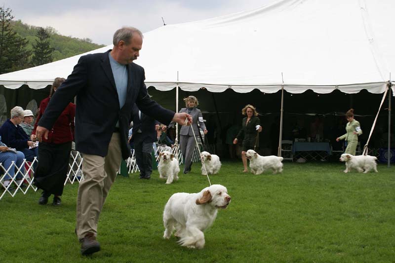 Nexus_Blind_Faith_1st_c