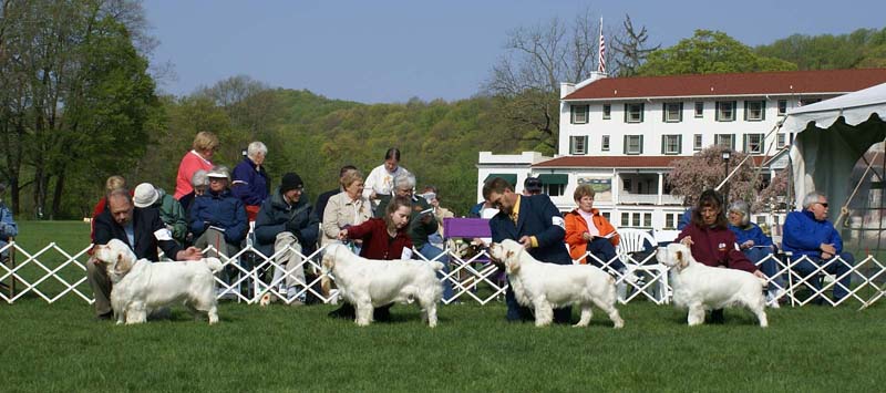 Nexus_Dark_Horse_first_in_line